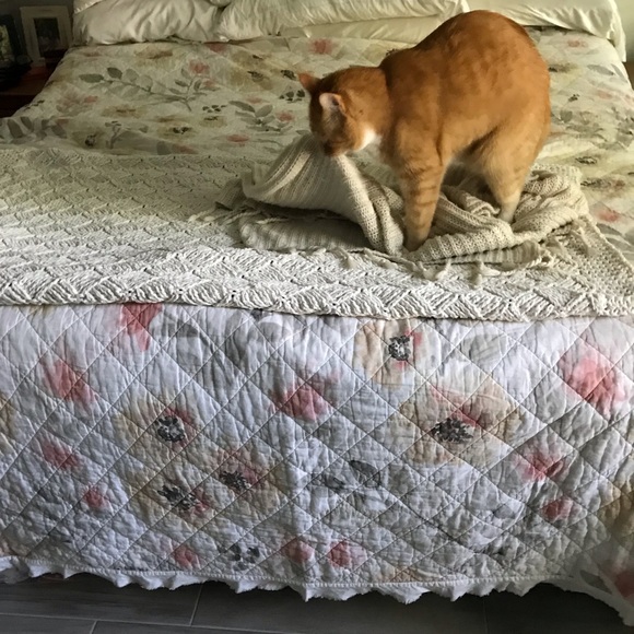 Bad Moms??? - Picture 13 of 17